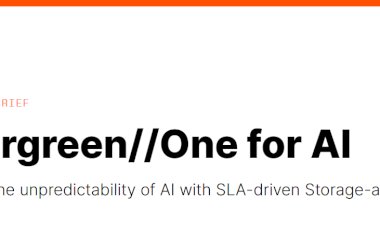 Evergreen // One for AI