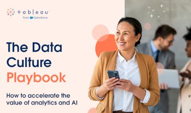 Data Culture Playbook