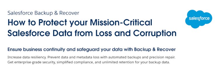 Protect your Salesforce Data